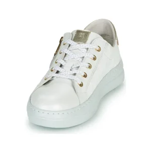 qualité d’originales Dorking VIP Couleur Blanc / Argenté 12