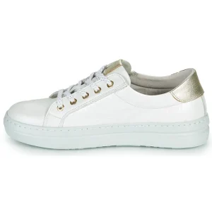 qualité d’originales Dorking VIP Couleur Blanc / Argenté 14