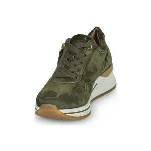 Gabor 9658743 Couleur Kaki Retour gratuit en magasin. 12