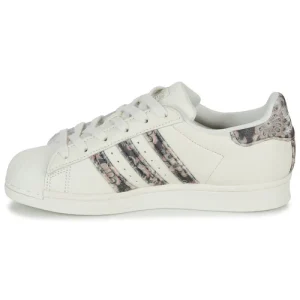 vente pas cher en ligne Adidas Originals SUPERSTAR Couleur Blanc / Printed 14
