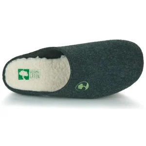 Dream In Green SESTERS Couleur Vert meilleur service 18