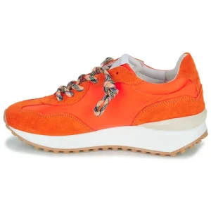 Semerdjian MALU-9004 Couleur Orange Vente 14
