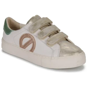 Classic Shop 25